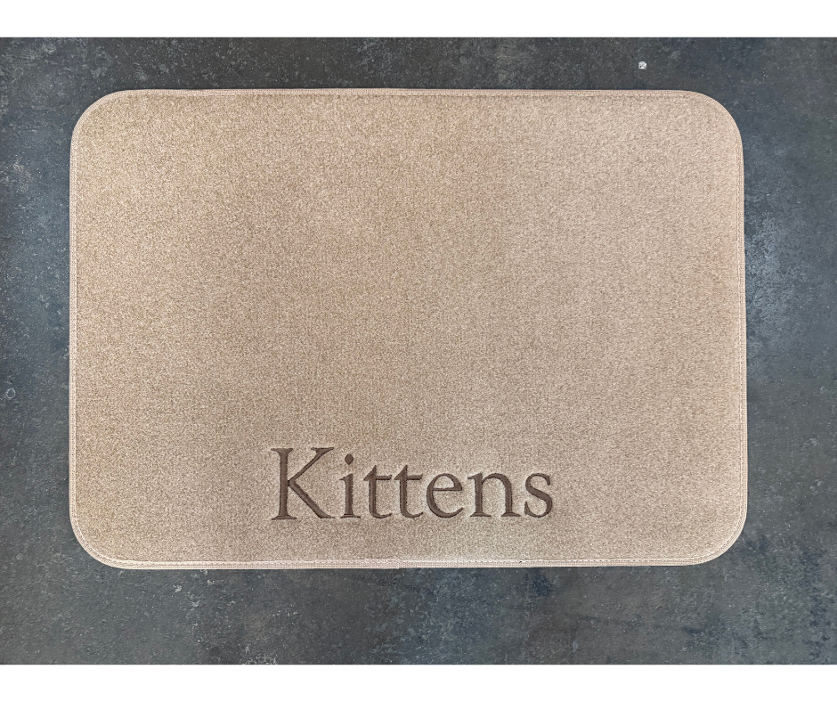Kittens Pet Mat - from our mistake stack