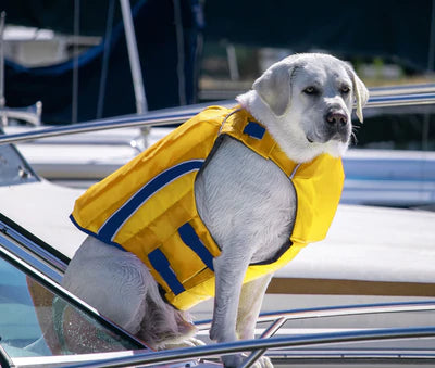 BAYDOG Monterey OFFSHORE Dog Life Jacket