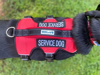 Baydog Service Dog Harness